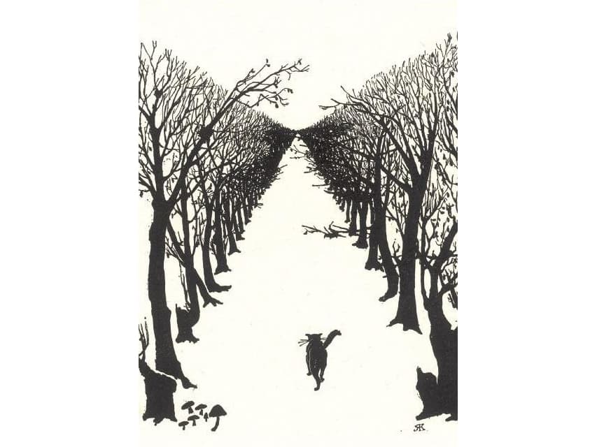 Museums & Galleries B6 subscription with envelope - The Cat that walked by himself