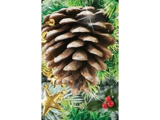 Worth Keeping 3D Mini Card - Szyszka (180197)
