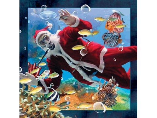 Worth Keeping 3D-vykort Diving Santa Claus