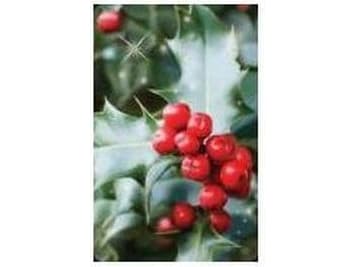 Worth-Keeping Mini-Card 3D - Holly - WIKR-1028832