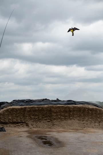 Knock Off Bird Bouncer kite komplet sæt 7 meter