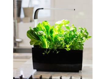 Tregren T6 BLACK, LED, 5 W, 100 - 240 V, 175 mm, 345 mm, 440 mm