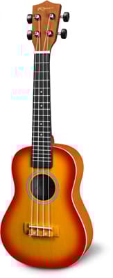 Reno - RU300-CS