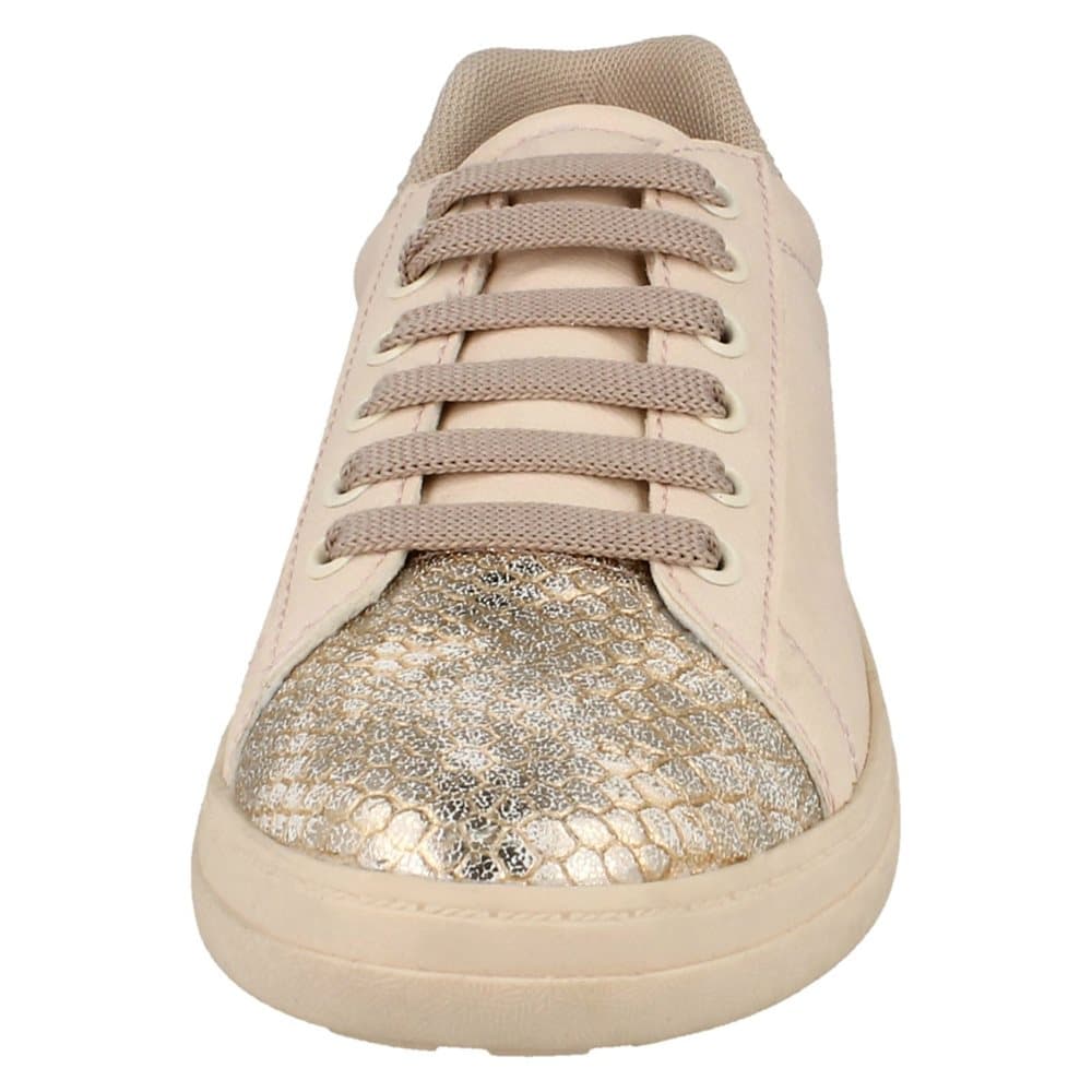 Spot On Womens/Ladies Lace Up Snake Toecap Trainers