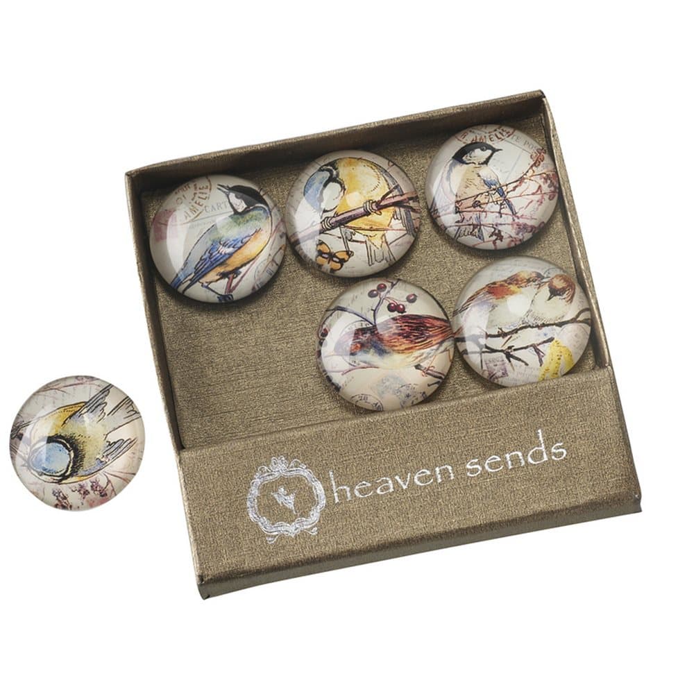 Bird Glass Magnets