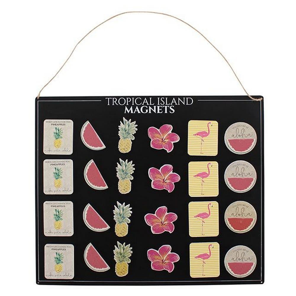 Something Different Tropical Magnets With Display Board (Set Of 36)