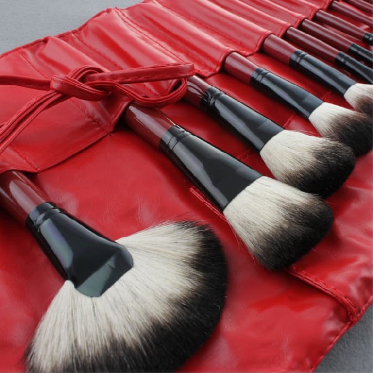 Red 22 pcs. Professional makeup brushes and leather case