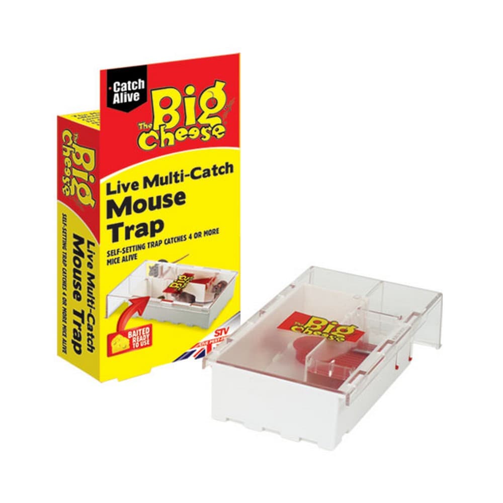 STV International The Big Cheese Live Multi-Catch Mouse Trap