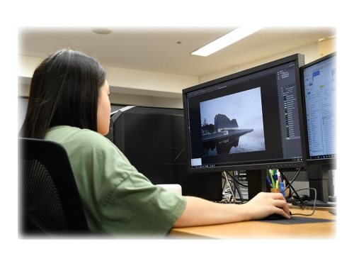 Bild av EIZO ColorEdge CS2731 - LED-skärm - 27" - 2560 x 1440 WQHD @ 60 Hz - IPS - 350 cd/m² - 1000:1 - 10 ms - DisplayPort, HDMI, DVI-D, USB-C - svart