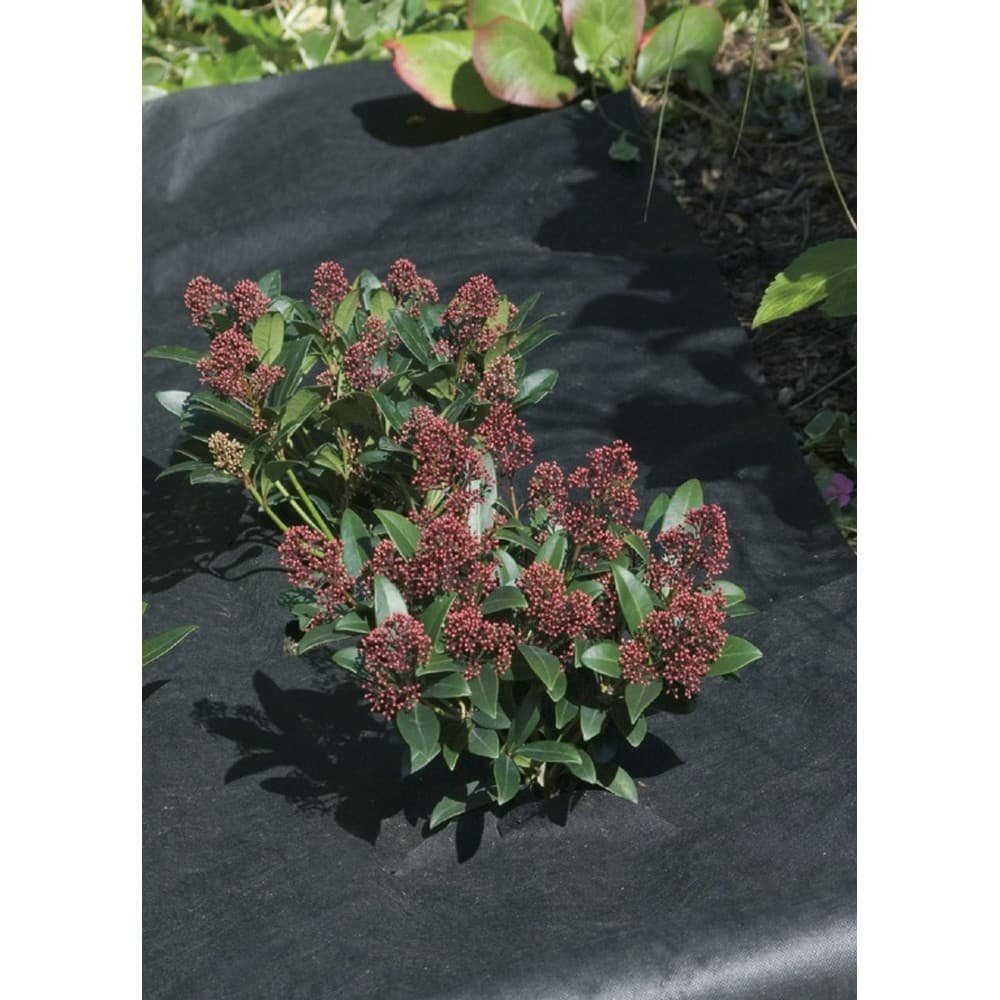 Ambassador Weed Control Fabric