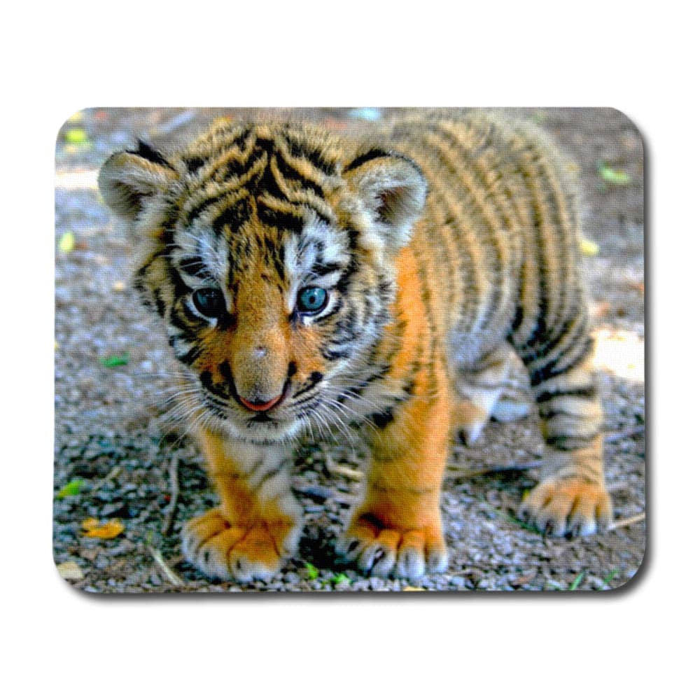 Tigerunge Musmatta