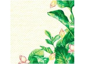 Serviet DuniSoft Airlaid 40x40 cm Banas,12 pk x 60 stk/krt