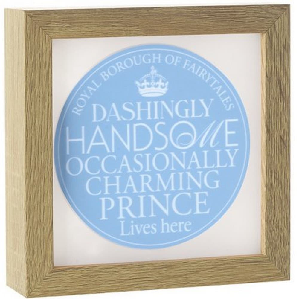 Charming Prince Light Up Frame