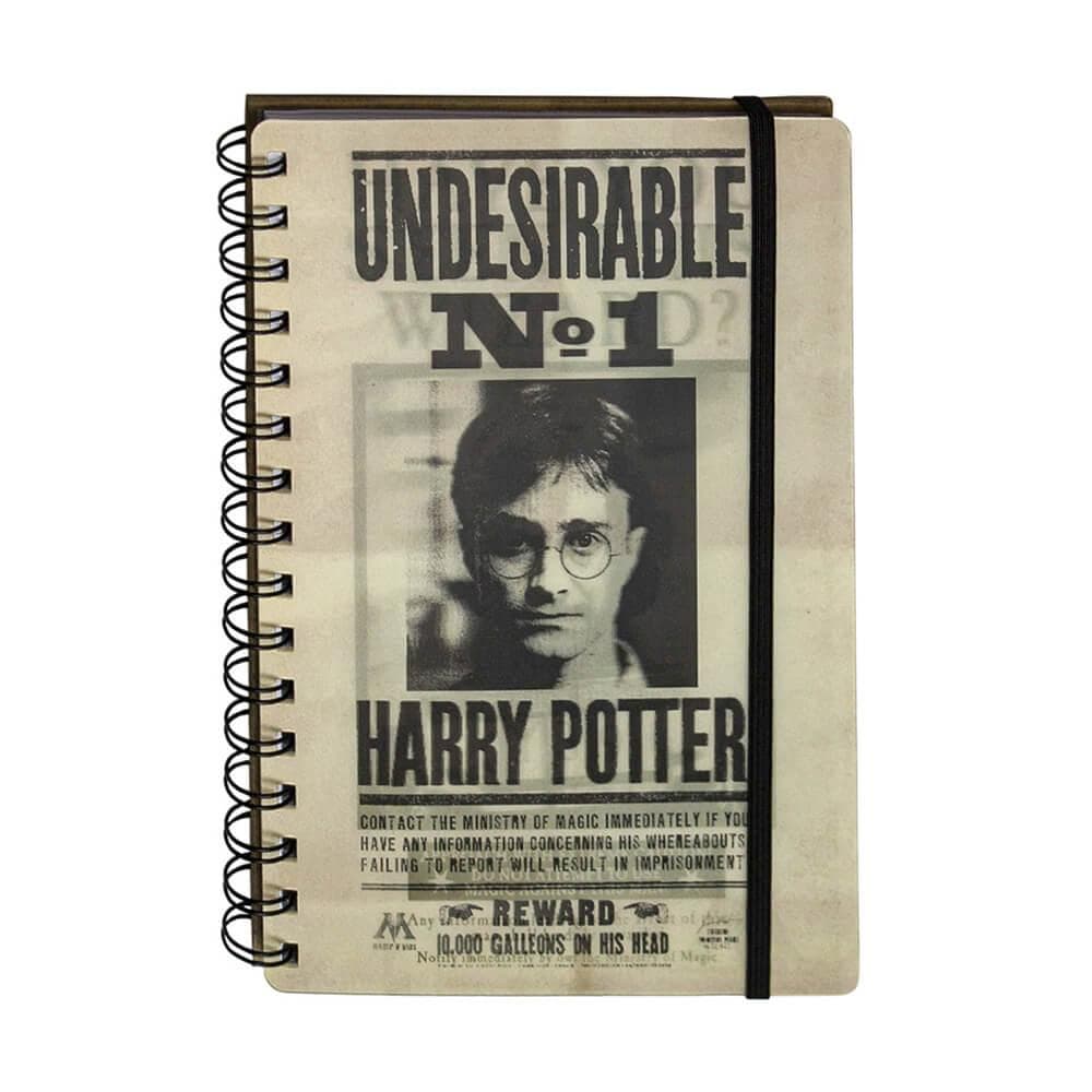 Harry Potter, Notesbog A5, Sirius & Harry