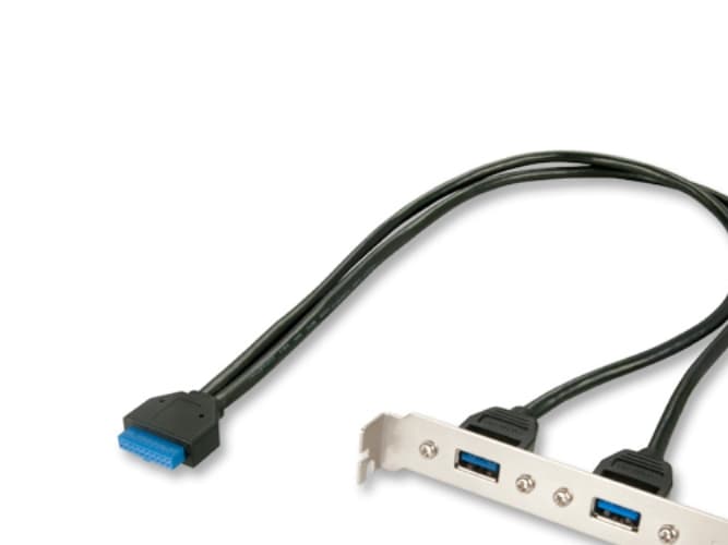 Lindy 33096, 2 x USB 3.0, 1 x 20 Way Header, Hona/Hona, 0,4 m, Grå, Svart