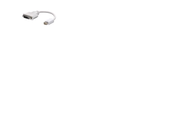Lindy Mini-DVI to DVI-D Cable, mini DVI, DVI-D, 0,20 m, Hvit