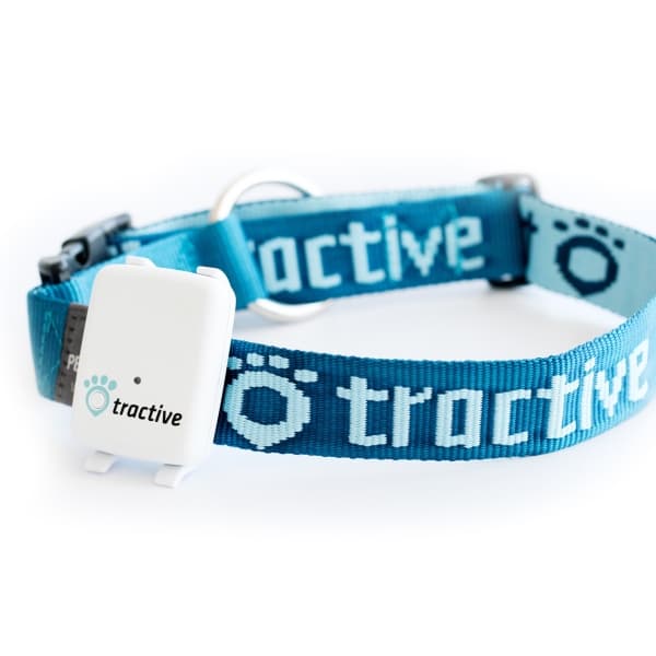 Tractive Dog Collar Large, Blå, GPS Pet Tracking Device, 30 mm