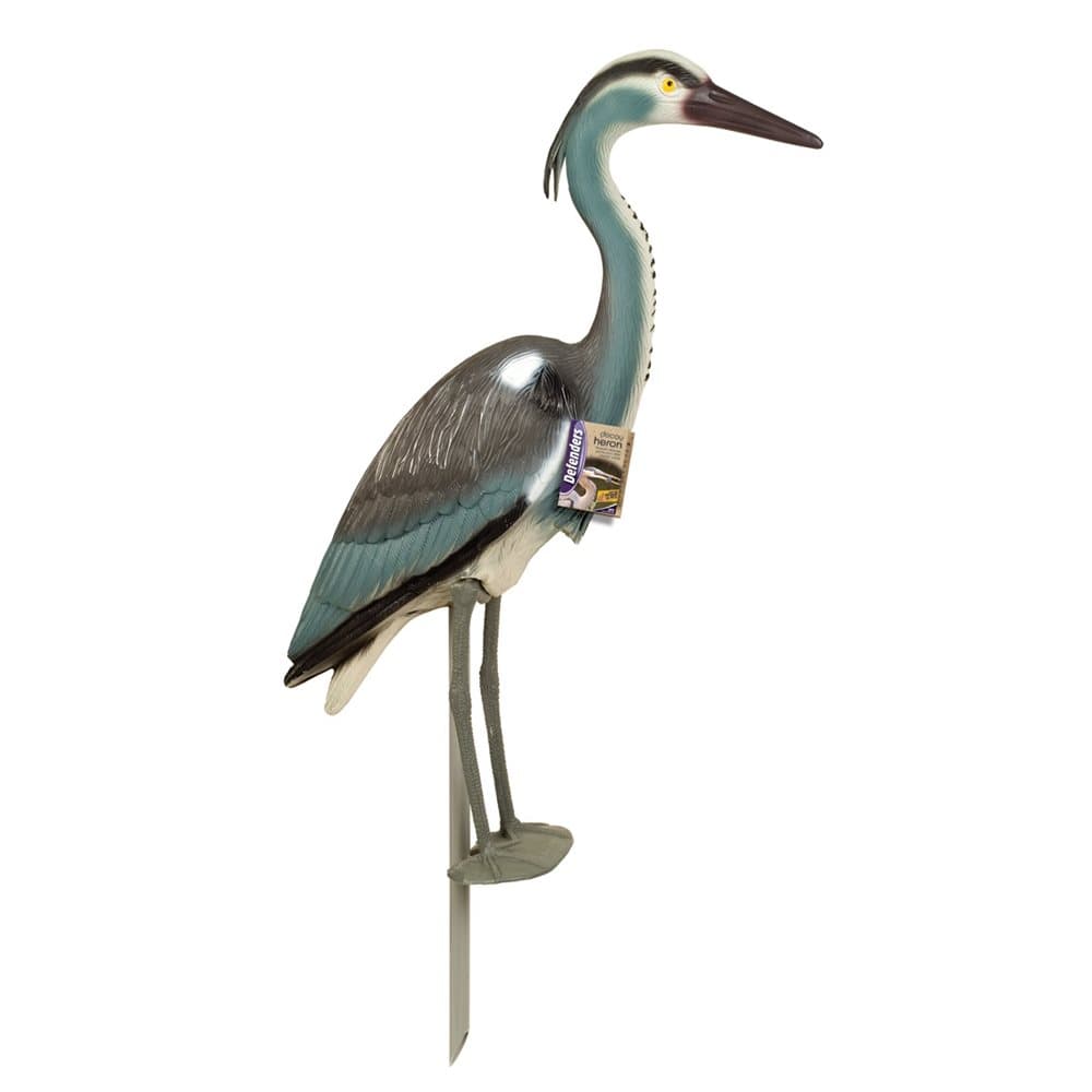 Defenders Deocy Heron