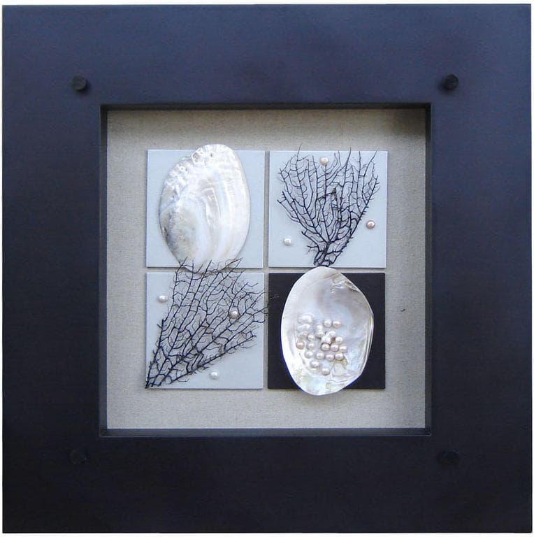 bilde skjell 55x55x9 cm