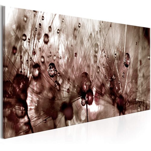 Bild av Tavla - Dandelions After Rain (120 x 40 cm)