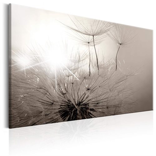 Bild av Tavla - Beautiful Summer: Dandelions (120 x 80 cm)
