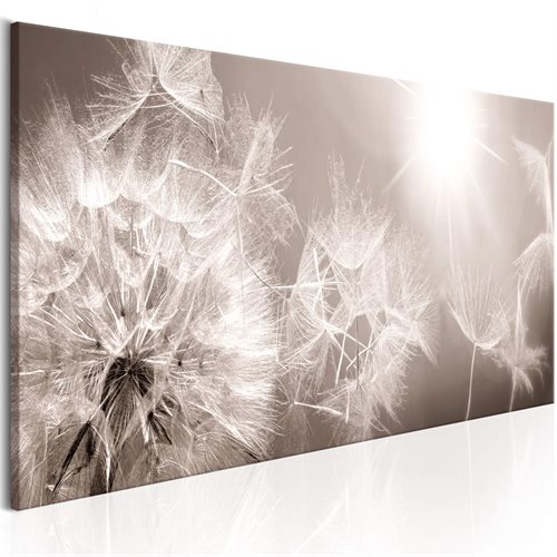 Bild av Tavla - Summer Dandelions (120 x 40 cm)