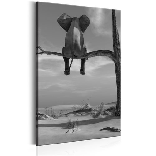 Bild av Tavla - Resting Elephant (40 x 60 cm)