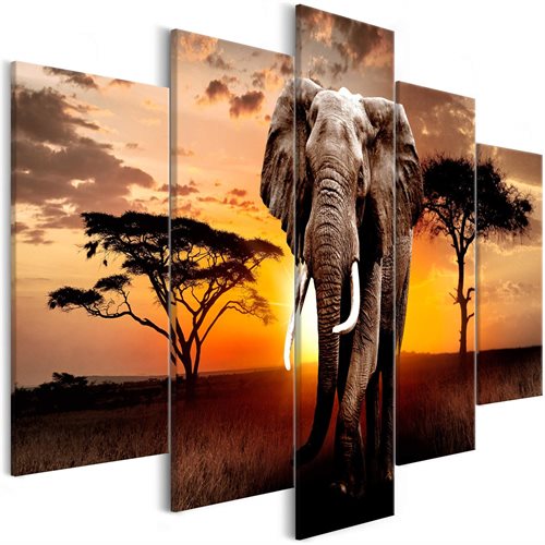 Bild av Tavla - Wandering Elephant (5 Parts) Wide (225 x 100 cm)