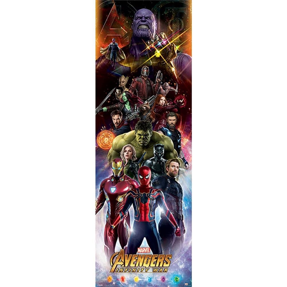 Avengers Infinity War Door Poster