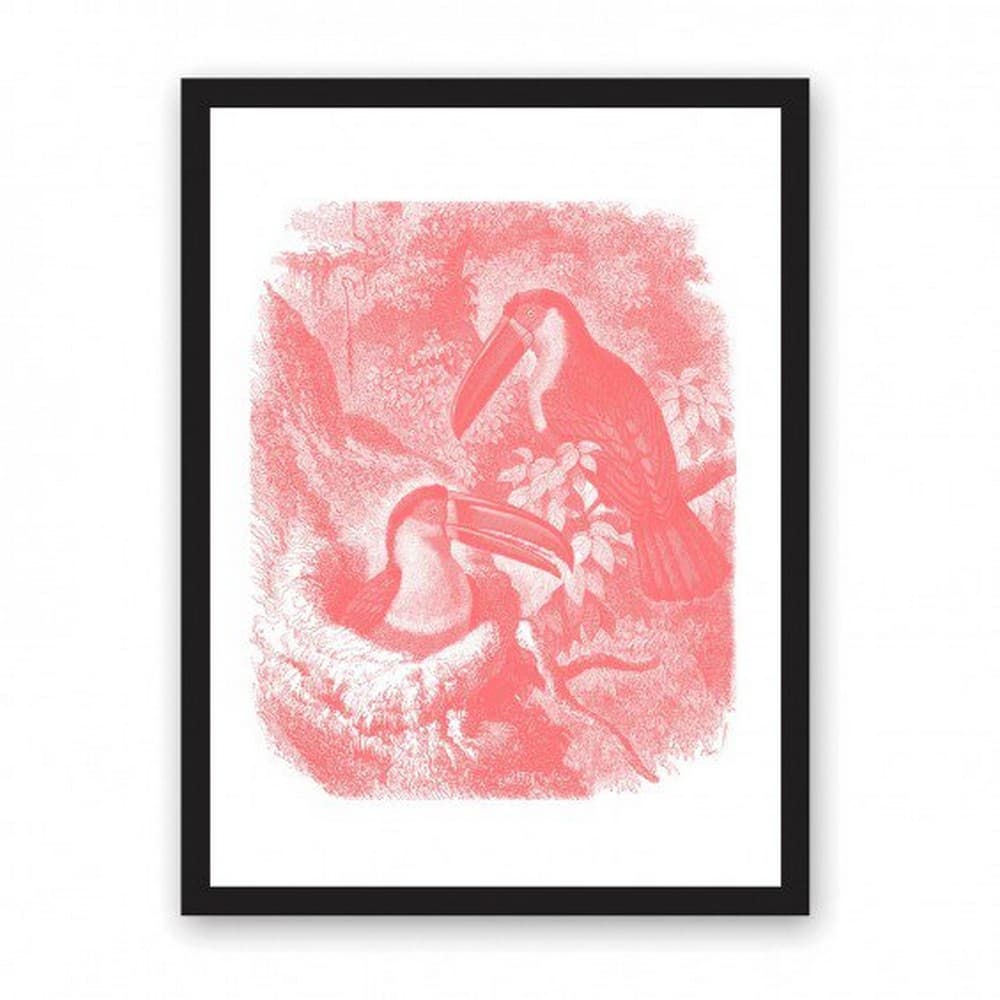 Ohh Deer Toucans A3 Riso Print