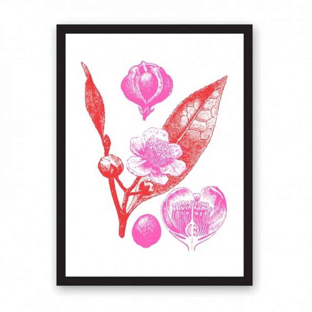 Ohh Deer Botanical A3 Riso Print