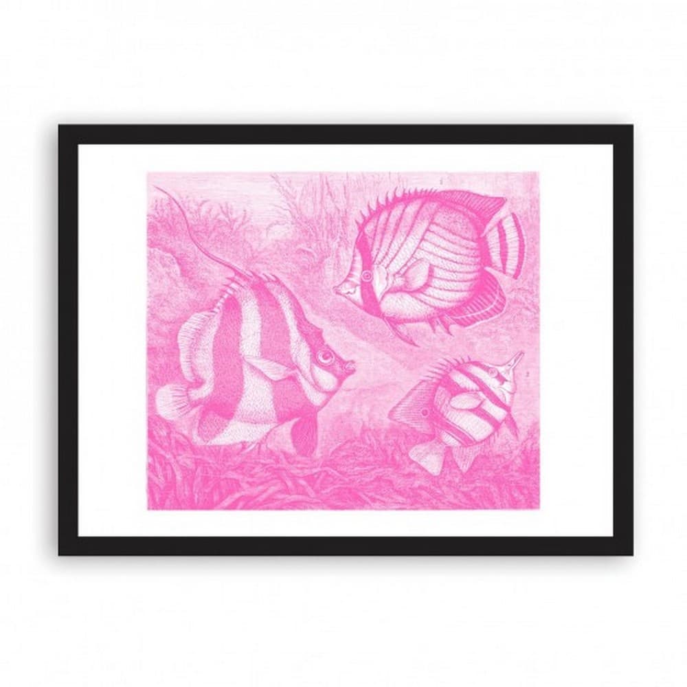 Ohh Deer Fish A3 Riso Print