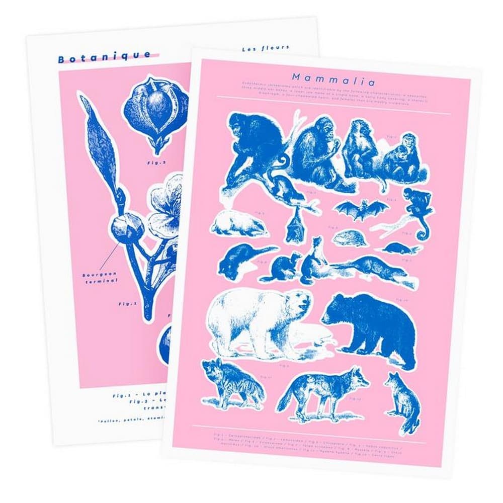 Ohh Deer Botanique & Mammalia Riso Prints (Pack Of 2)