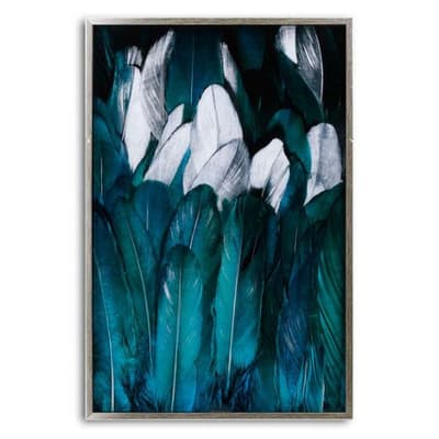 Hill Interiors Feather Glass Image In Silver Frame
