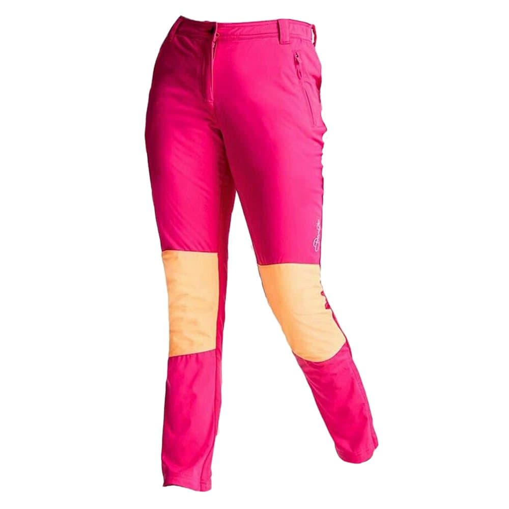Dare 2B Kvinnor / damer lägger till Slim Fit skidbyxor