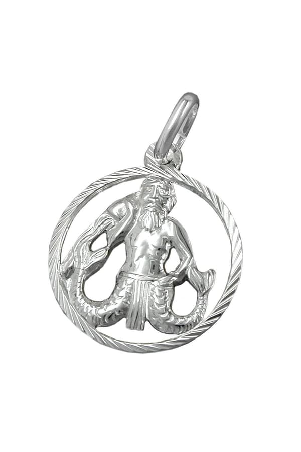 Pendant Aquarius Silver 925 - GL91002