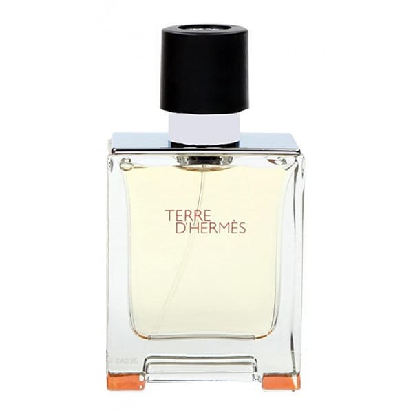 Hermès Terre d'Hermès Edt 100ml