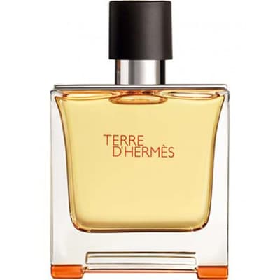 Hermes Terre D'Hermes Edp 75ml