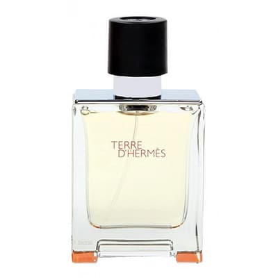 Hermes Terre D'Hermes Edt 50ml