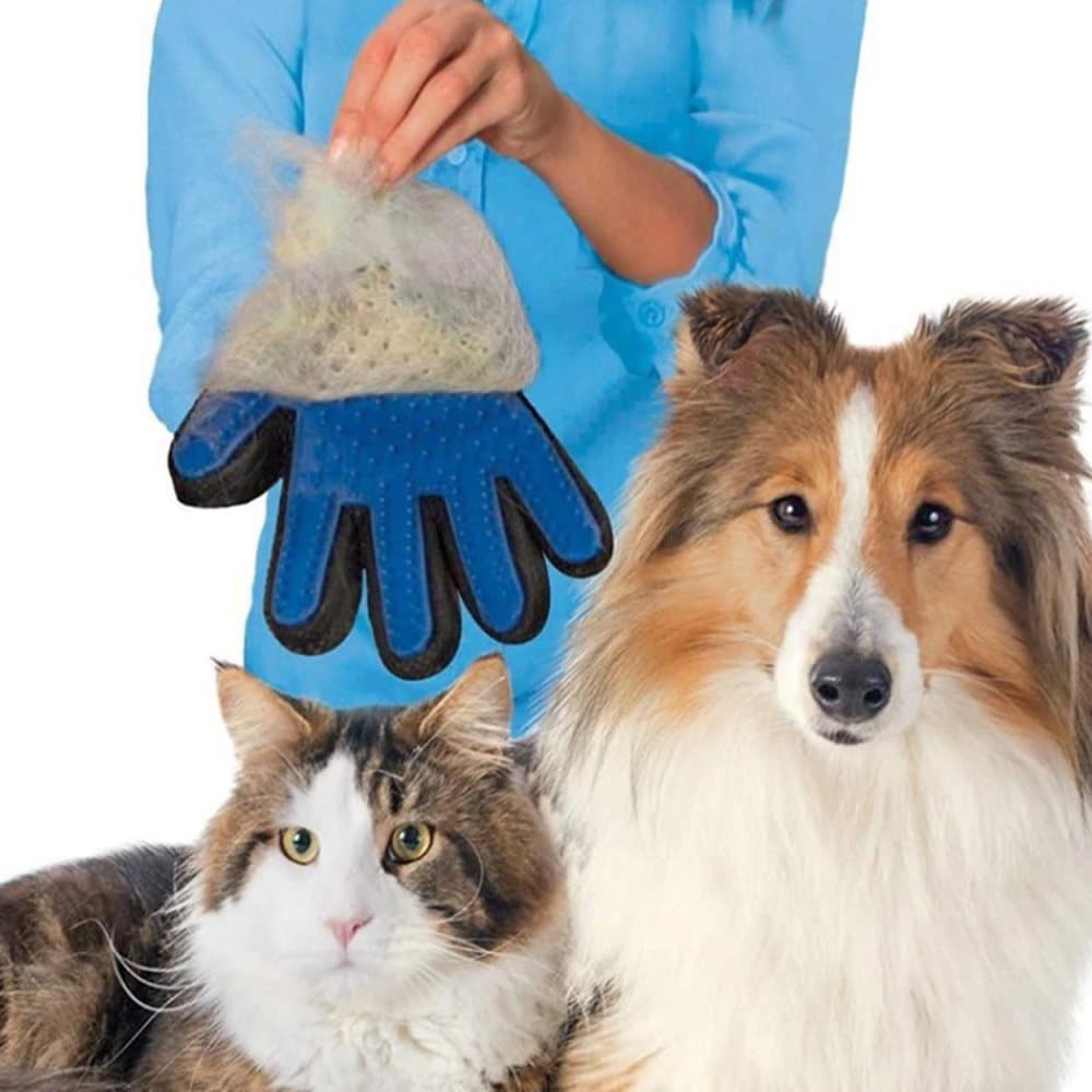 Harjahansikas Dog Cat Pets Animal Fur Brushille