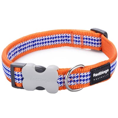 Red Dingo Fang It Dog Collar