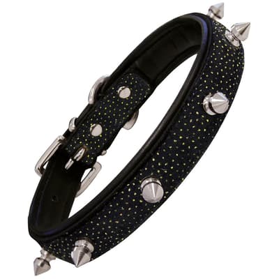 Gloria Shiny Spiky Leather Dog Collar