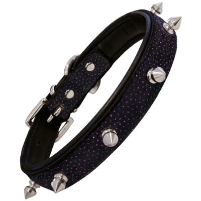 Gloria Shiny Spiky Leather Dog Collar