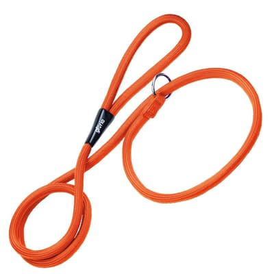 Gloria Training Dog Lead