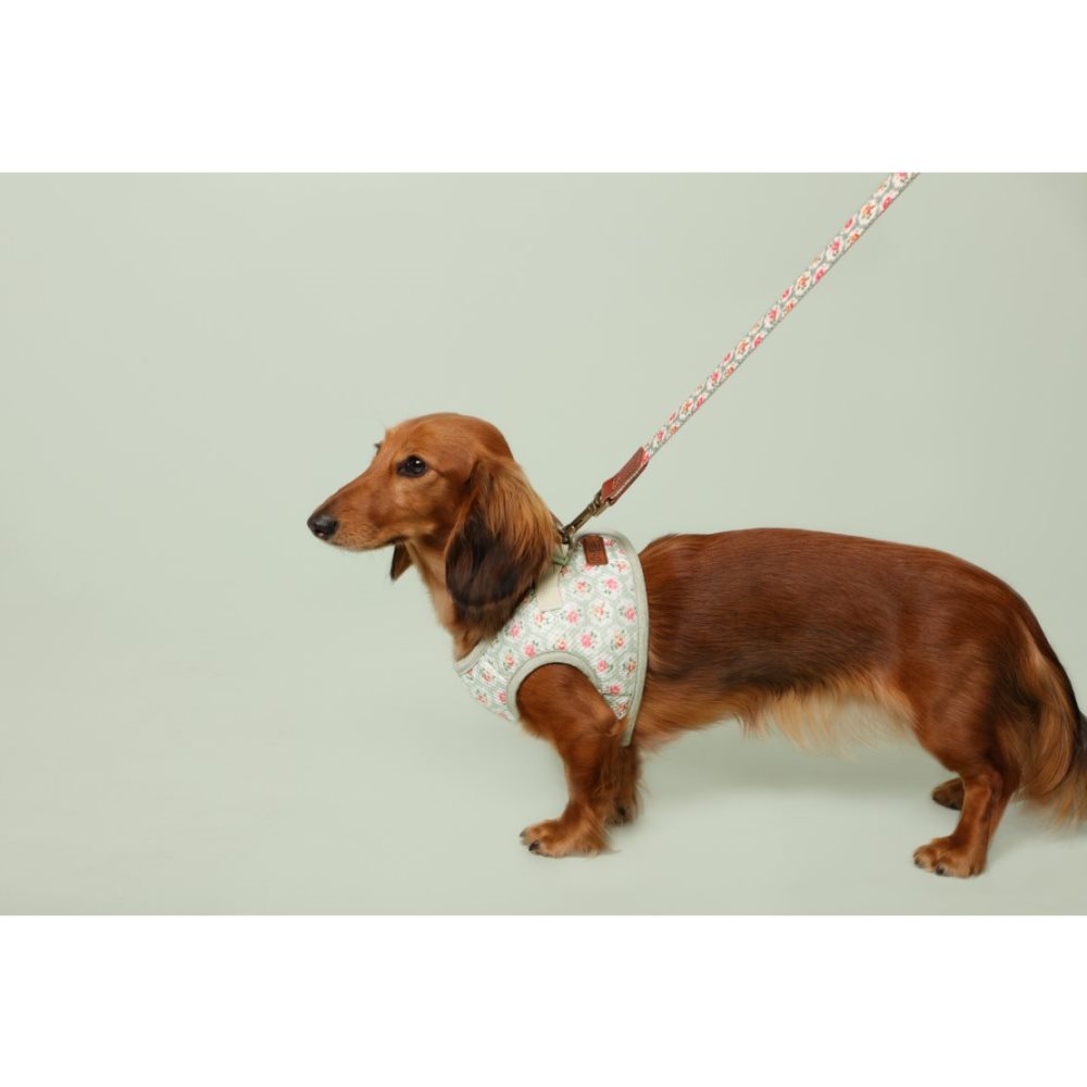 cath kidston dog collar