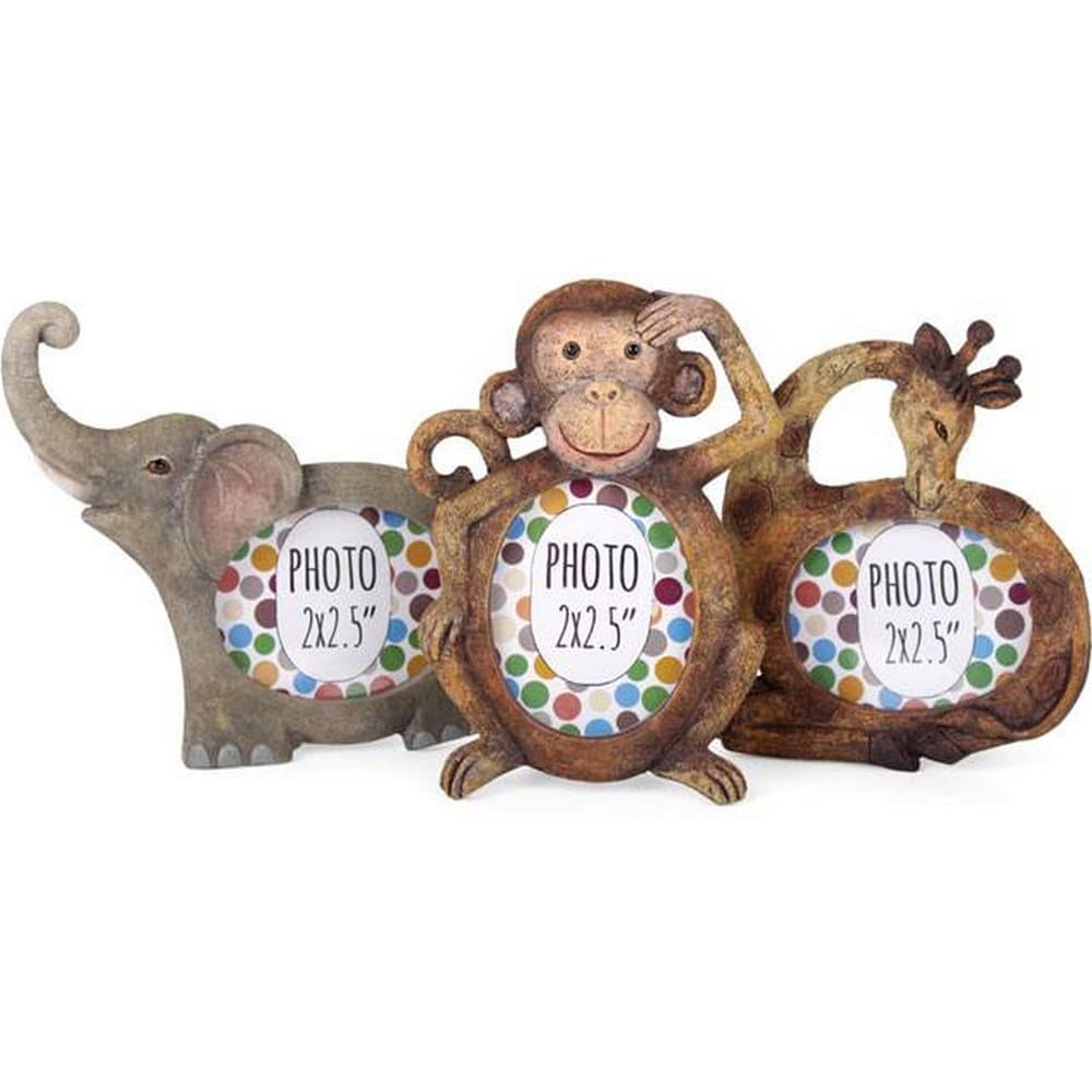 Something Different Wildlife Frames (Box Of 12)