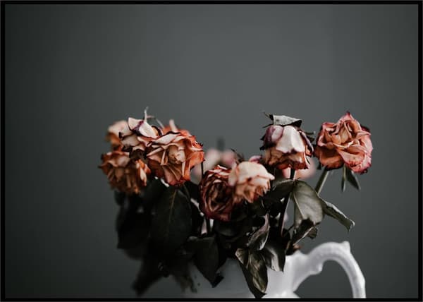 FLOWER WALL V POSTER