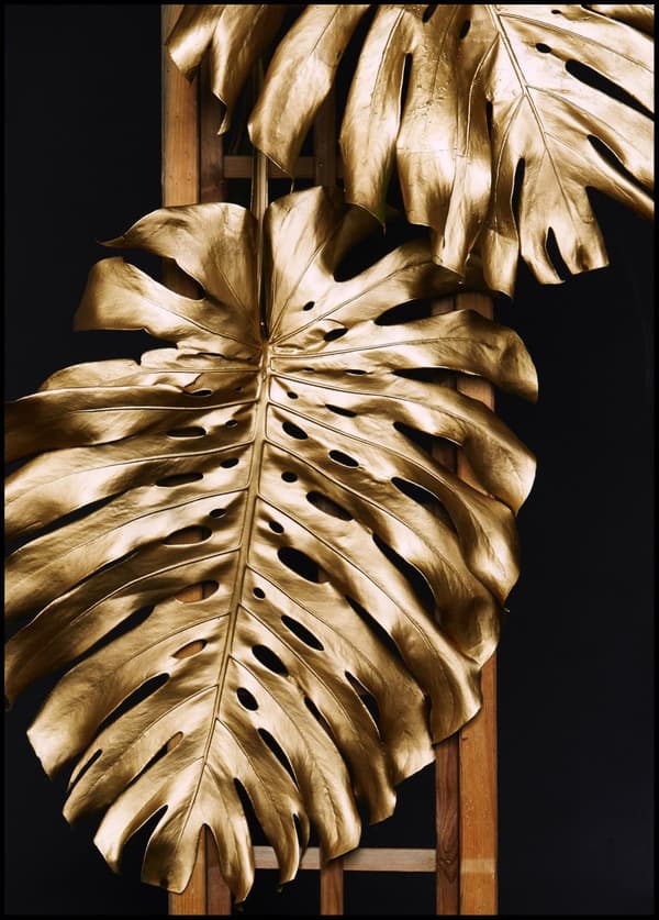 MONSTERA GOLD POSTER 70x100cm