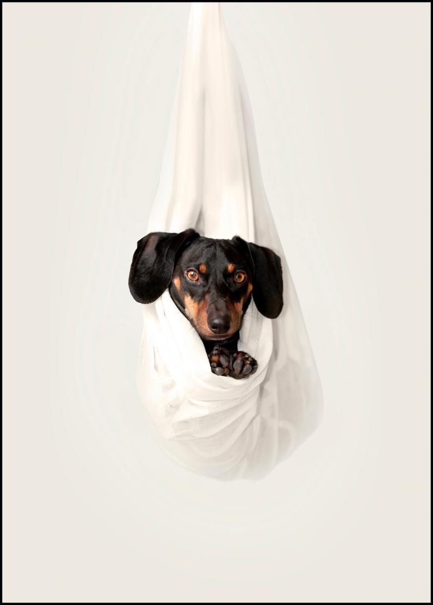 CHILLING DOG POSTER 21x30cm