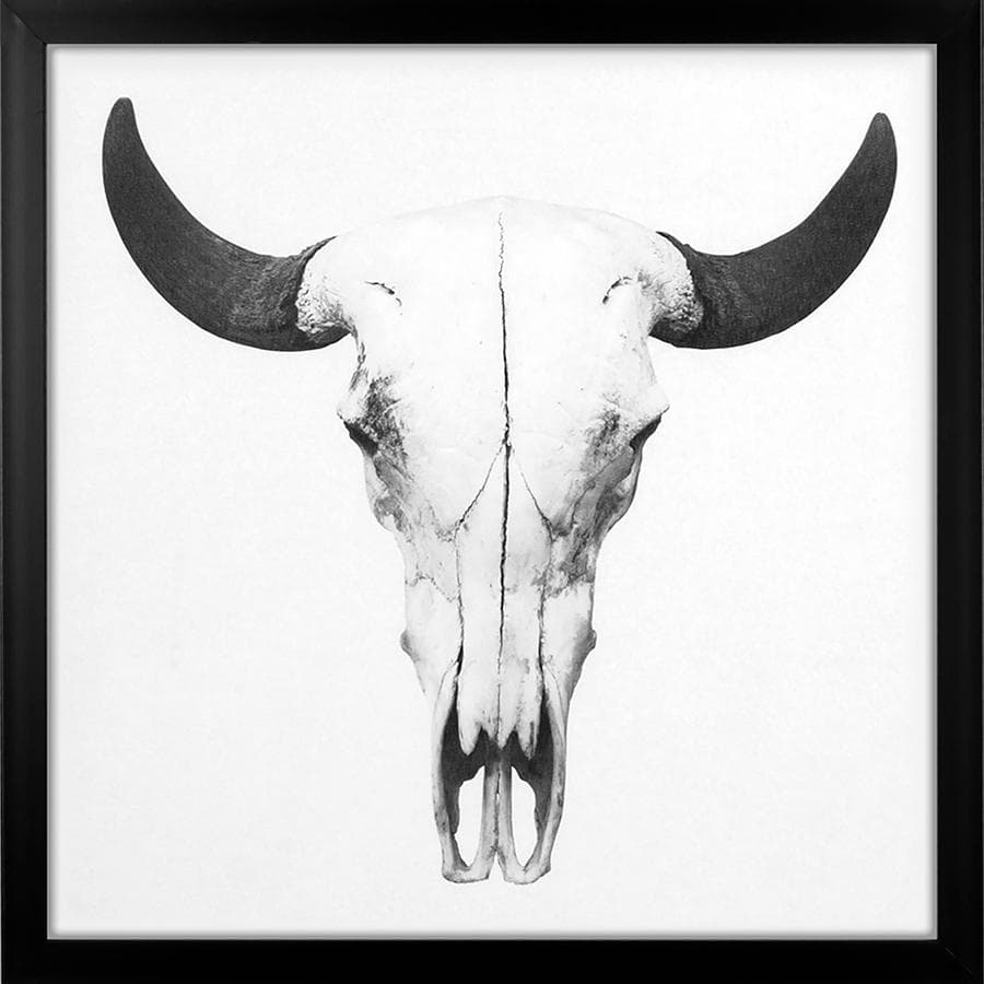 Grindstore Bison Skull Large Framed Canvas Print